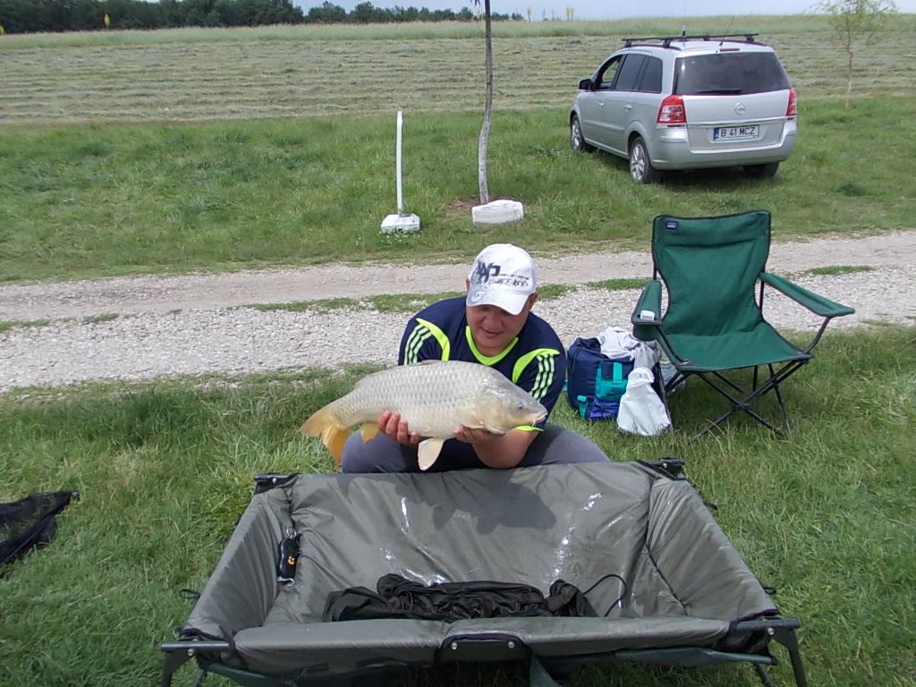 Tancabesti si Moara Vlasiei2 - dscn1711.JPG